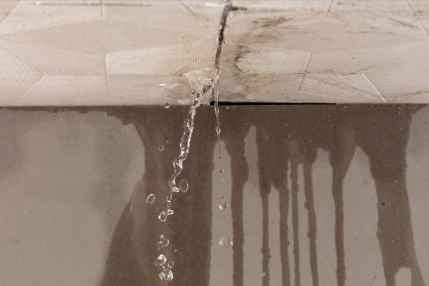 Professional Flood Damage Cleanup technician working in Holyoke, MN